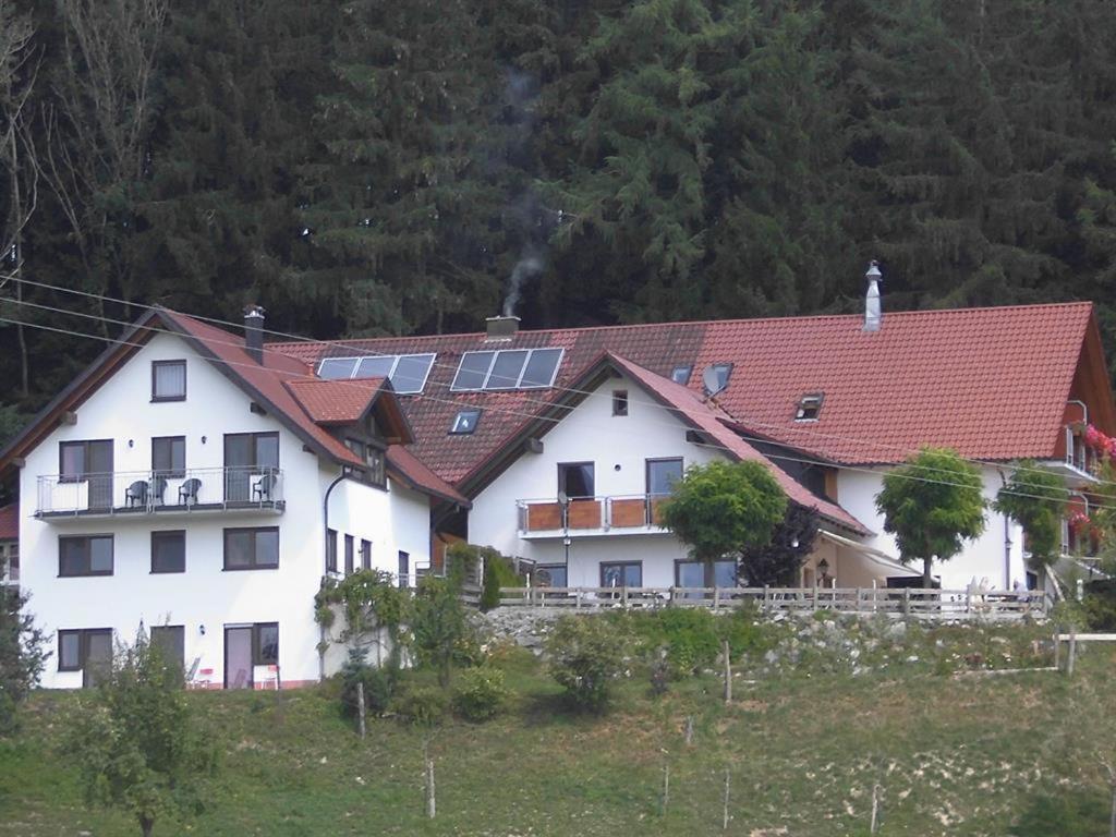 Gasthof Gruener Baum "Kongo" Amtzell Εξωτερικό φωτογραφία